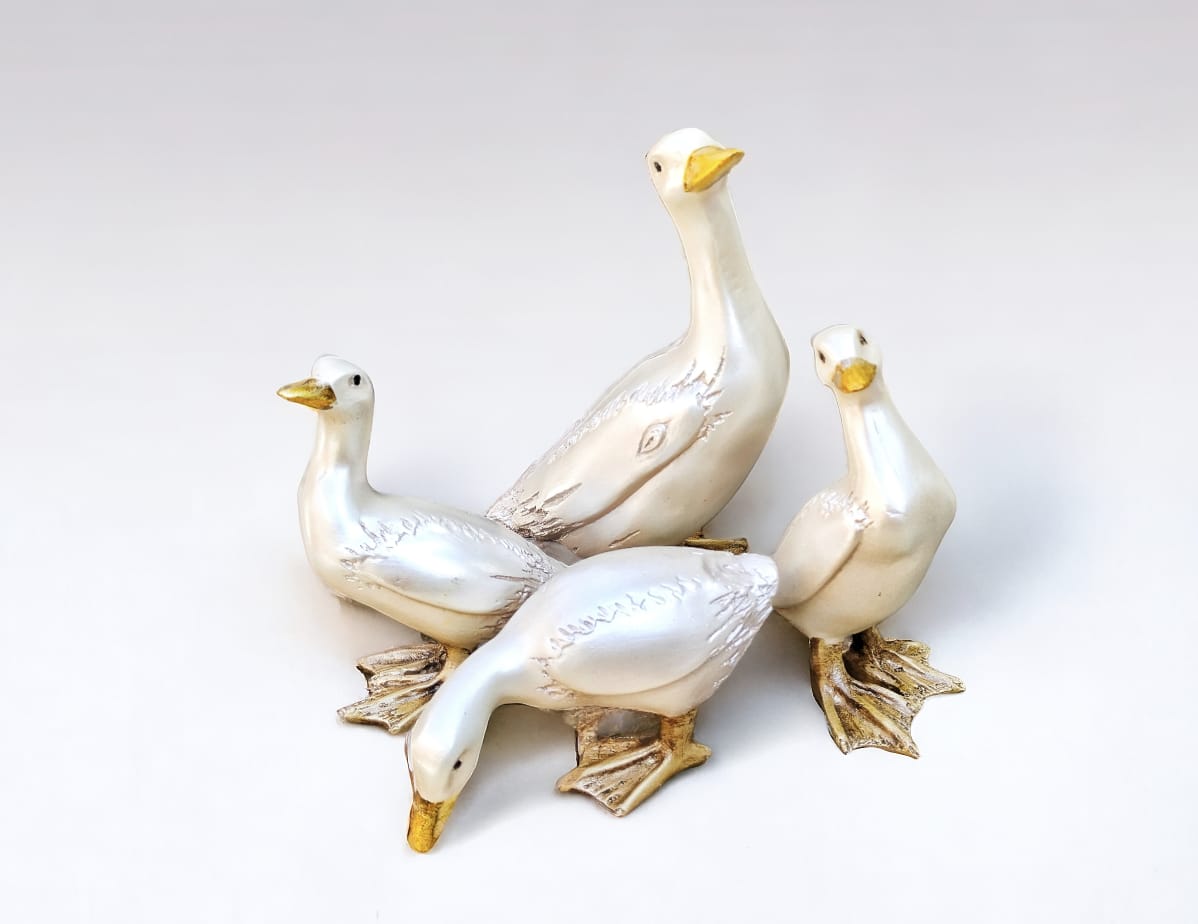 Duck Set